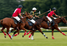 polo match