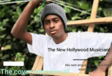 Chris Level Posted On LinkedIn How He Hated Hollywood, Now Trends On TikTok